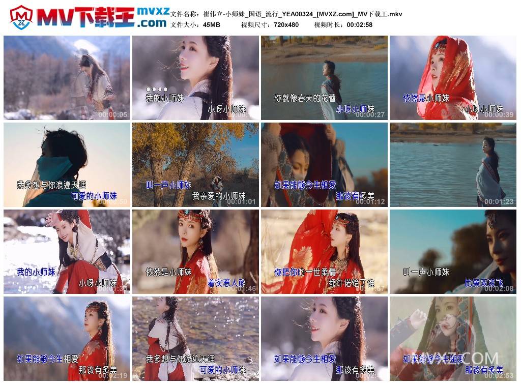 崔伟立-小师妹_国语_流行_YEA00324